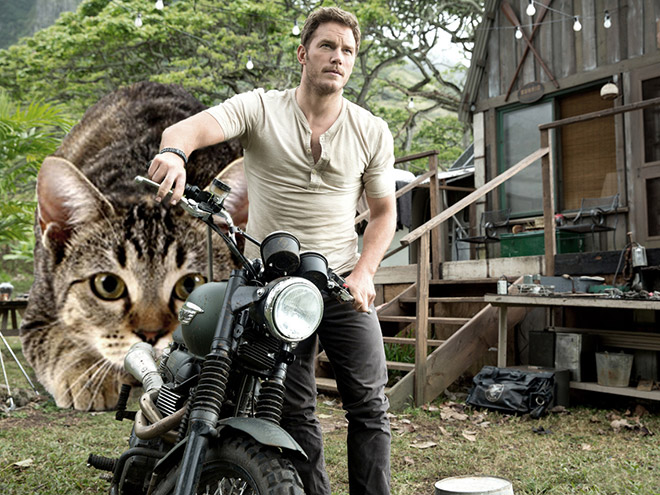 someone-replaced-jurassic-park-dinosaurs-with-kittens-and-it-s-hilarious-10