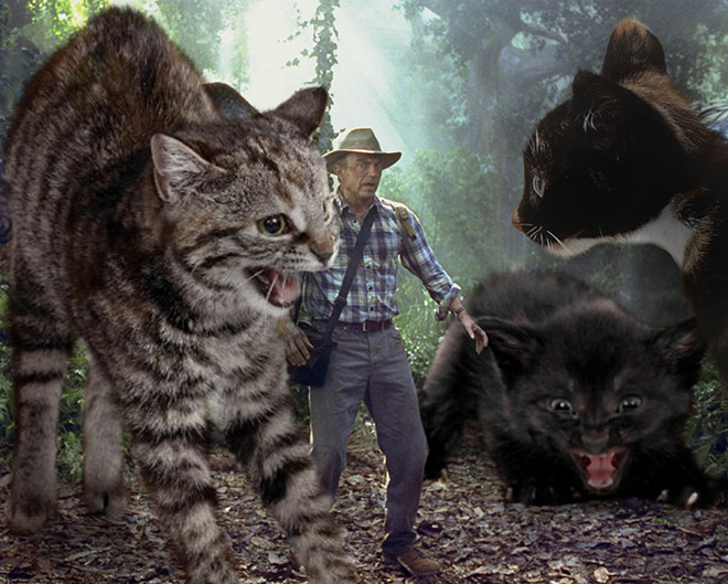 someone-replaced-jurassic-park-dinosaurs-with-kittens-and-it-s-hilarious-11