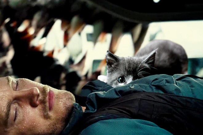 someone-replaced-jurassic-park-dinosaurs-with-kittens-and-it-s-hilarious-12