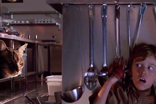 someone-replaced-jurassic-park-dinosaurs-with-kittens-and-it-s-hilarious-13