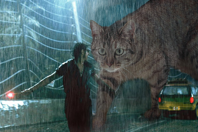 someone-replaced-jurassic-park-dinosaurs-with-kittens-and-it-s-hilarious-15