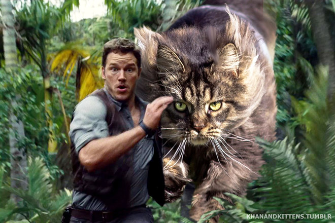 someone-replaced-jurassic-park-dinosaurs-with-kittens-and-it-s-hilarious-16