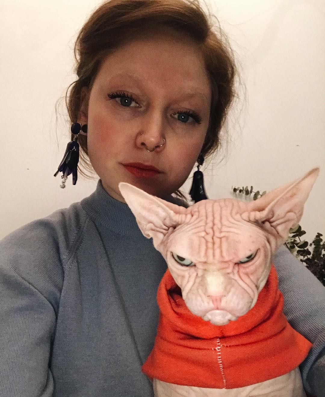 this-is-loki-the-world-s-grumpiest-sphynx-cat-who-looks-like-he-s-judging-your-poor-life-choices-07