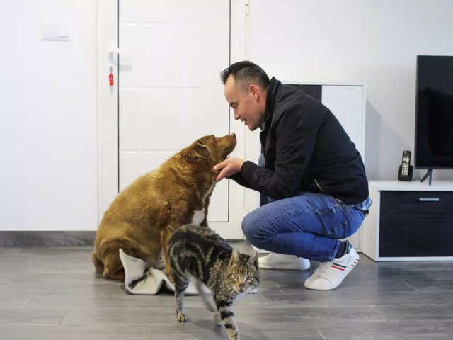 Oldest Dog Bobi: Meet the world's oldest dog, Bobi - First dog to reach 30 years | The Economic Times