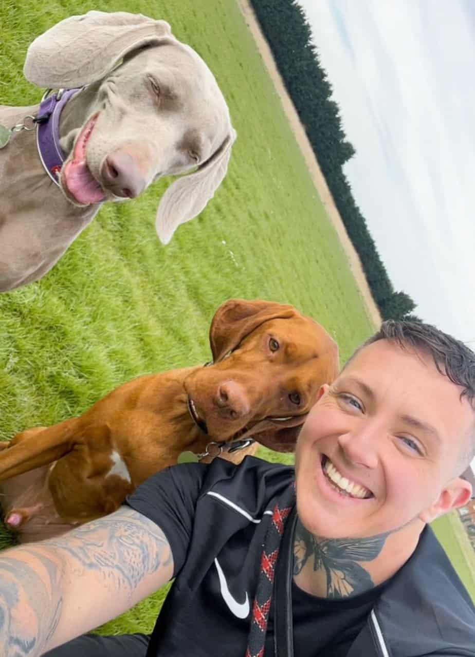 After vet bills reached $24K, dog owner is willing to sell his house to  keep his beloved dog alive