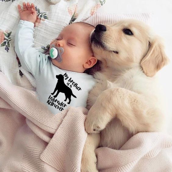 Baby Clothes Retriever | Baby Clothes Dogs | Baby Labrador | Dog Bodysuits | Brother - Baby - Aliexpress