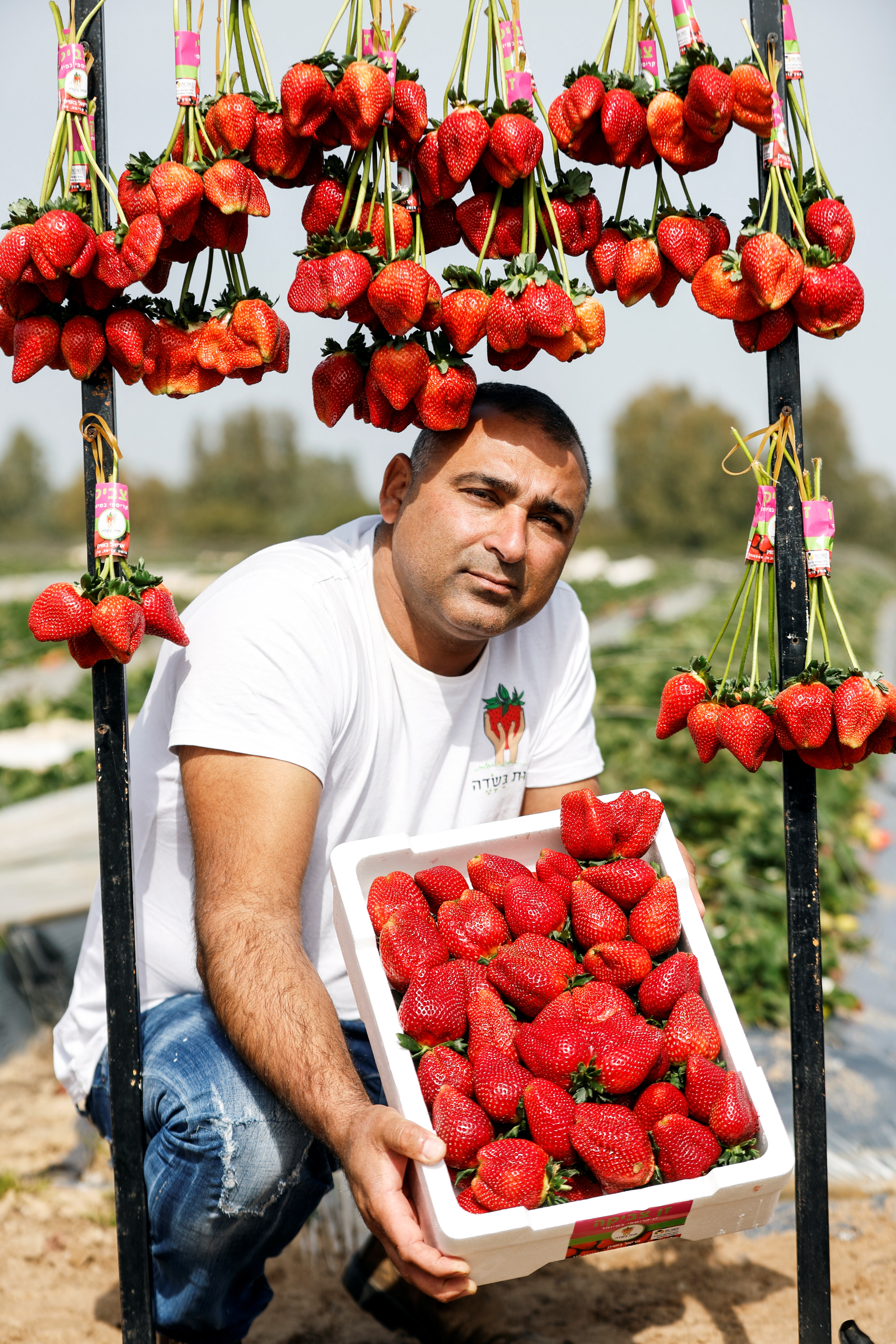 opruiming > giant strawberry -