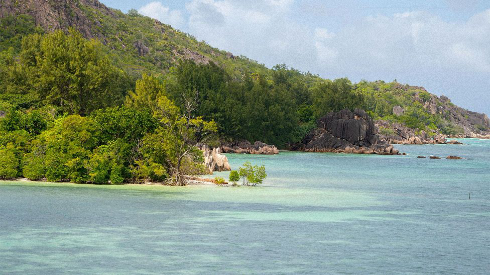 Six islands make up the Ste Anne Marine Park, but Moyenne is the only one, aside from tiny Ile Cachee, with no hotel development or other forms of private land ownership. And thanks to Grimshaw and his friends, Moyenne is likely to stay this way.