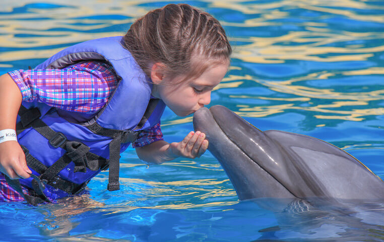 Dolphin Kids Program - Smiles | Cabo Day Trips
