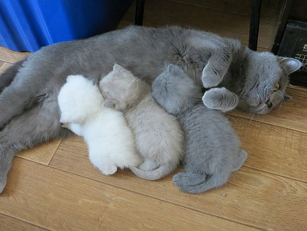 via: boredpanda.com