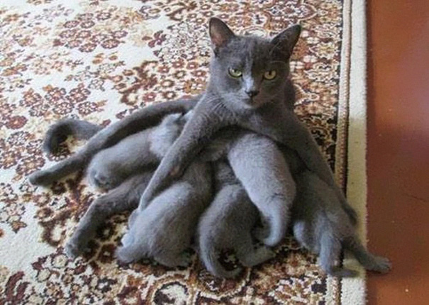 via: boredpanda.com