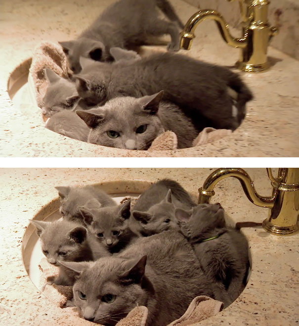 via: imgur.com