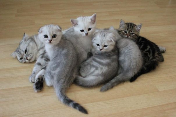 via: boredpanda.com