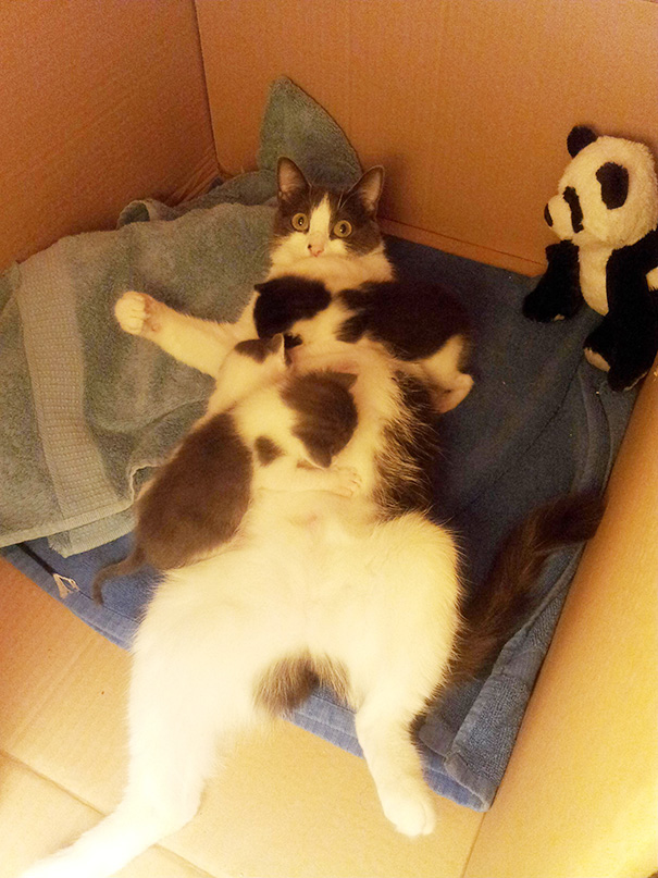 via: boredpanda.com