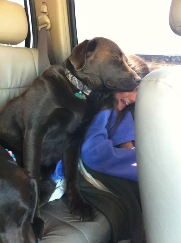 20-reasons-why-you-should-be-thankful-to-have-a-dog-01