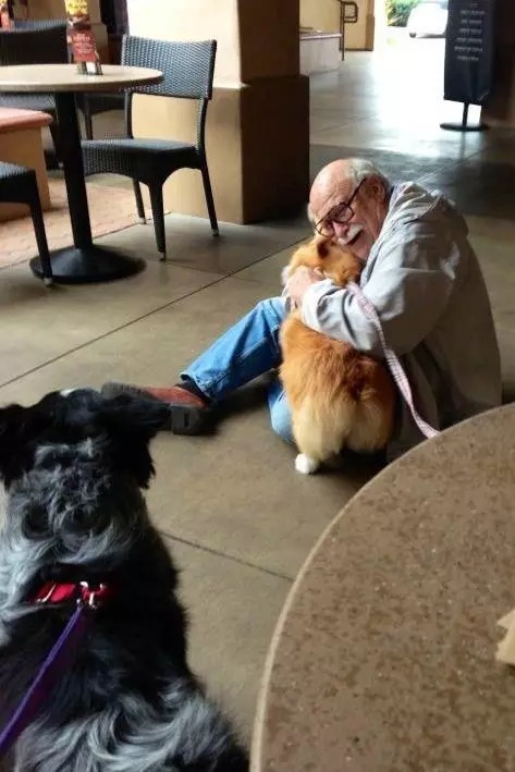 20-reasons-why-you-should-be-thankful-to-have-a-dog-03