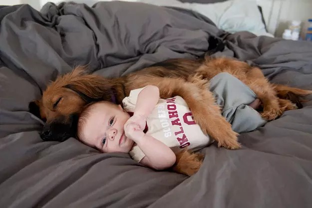 20-reasons-why-you-should-be-thankful-to-have-a-dog-04