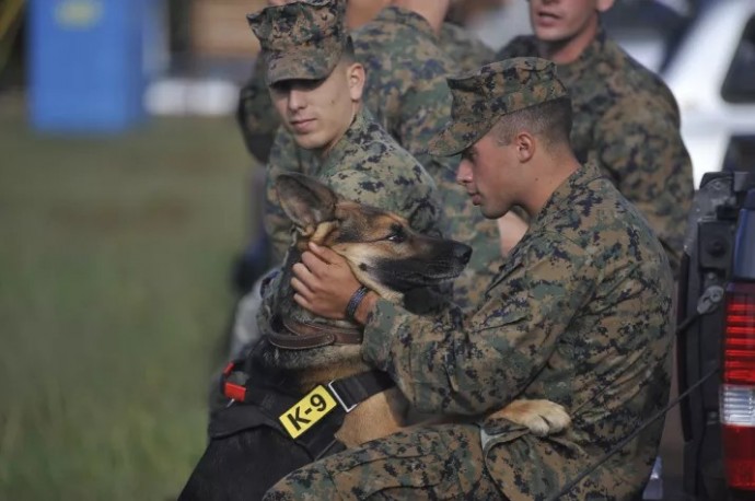 20-reasons-why-you-should-be-thankful-to-have-a-dog-06