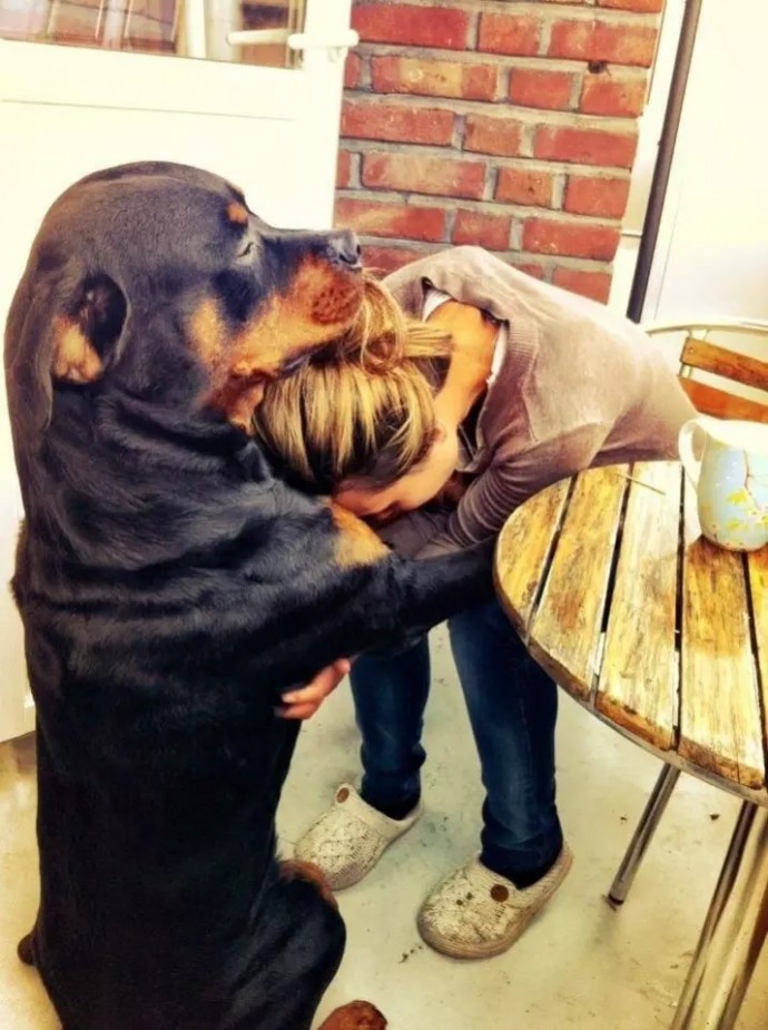 20-reasons-why-you-should-be-thankful-to-have-a-dog-07