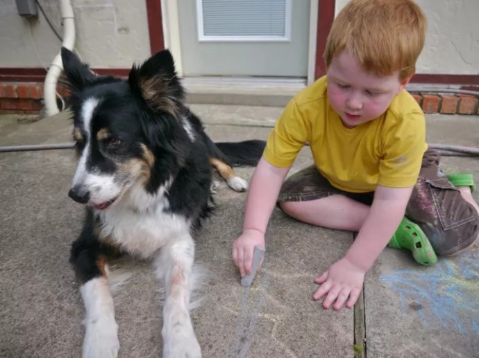 20-reasons-why-you-should-be-thankful-to-have-a-dog-08
