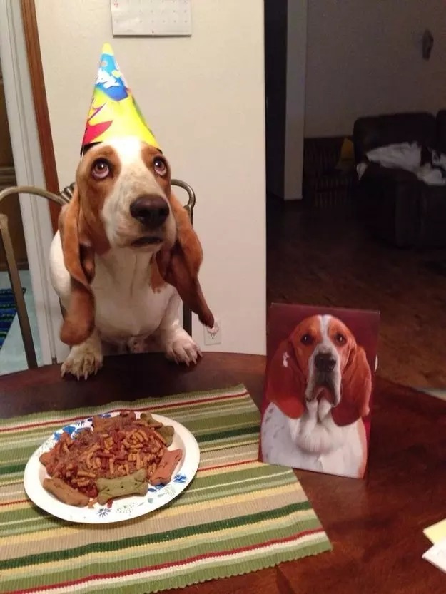 20-reasons-why-you-should-be-thankful-to-have-a-dog-13