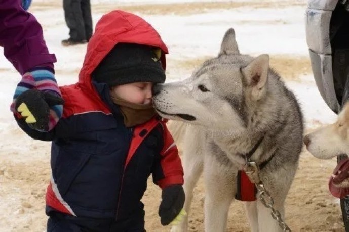 20-reasons-why-you-should-be-thankful-to-have-a-dog-15