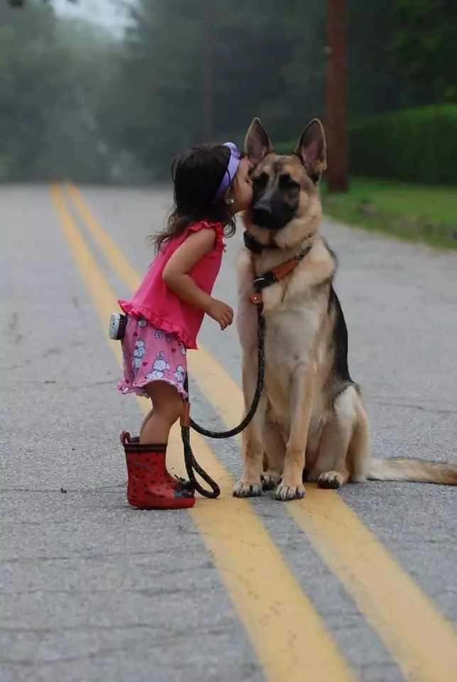 20-reasons-why-you-should-be-thankful-to-have-a-dog-18