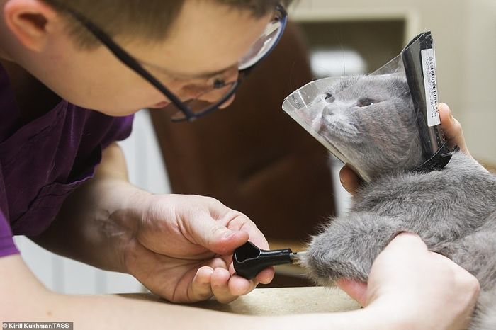 Dr Gorshkov, dari Siberia, dibantu dengan para ahli dari Universitas Politeknik Tomsk berhasil membuat prosthetics yang unik.