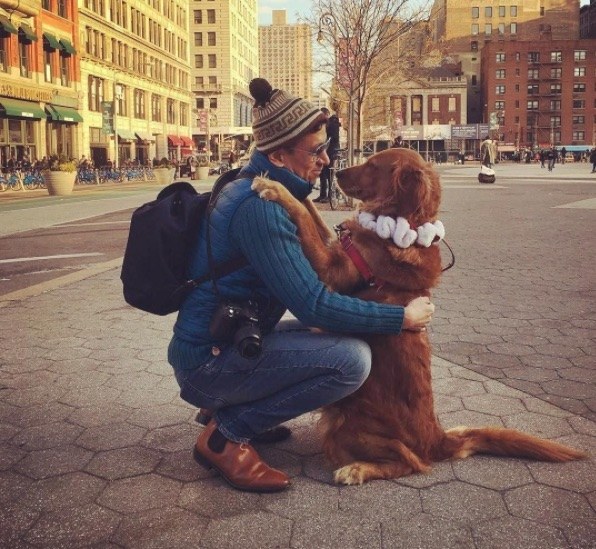 meet-louboutina-the-golden-retriever-who-gives-hugs-to-literally-everyone-he-meets-06