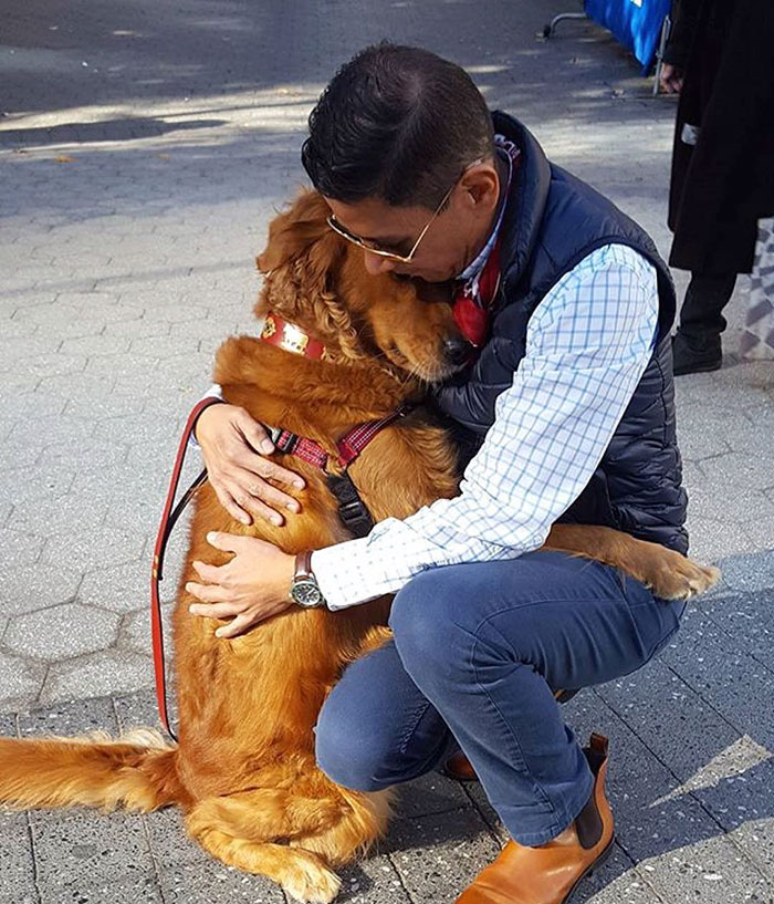 meet-louboutina-the-golden-retriever-who-gives-hugs-to-literally-everyone-he-meets-13