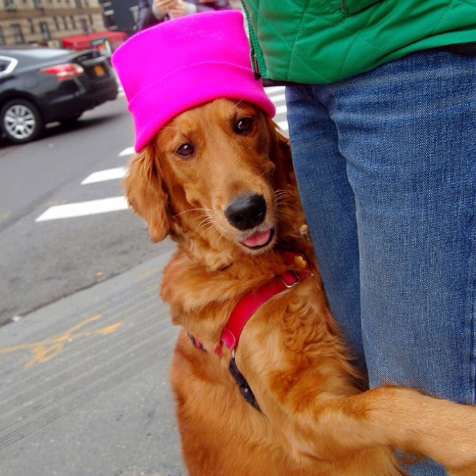 meet-louboutina-the-golden-retriever-who-gives-hugs-to-literally-everyone-he-meets-14