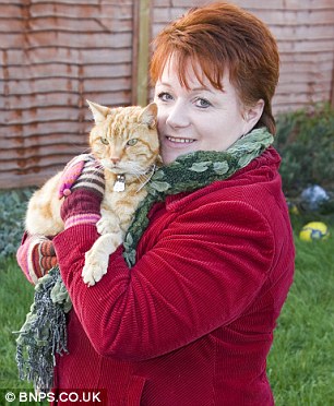 Artful Dodger cat Catching Bus
