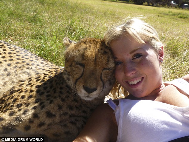 Nineteen-month-old Dew was born into the successful breeding programme at the Cheetah Experience
