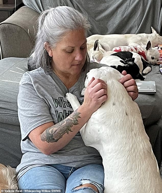 Valerie, pictured, revealed she was inspired to start the sanctuary after struggling to rehome her father's Doberman because of his old age