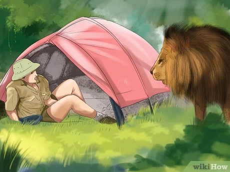  3 Ways to Survive a Lion Attack - wikiHow 