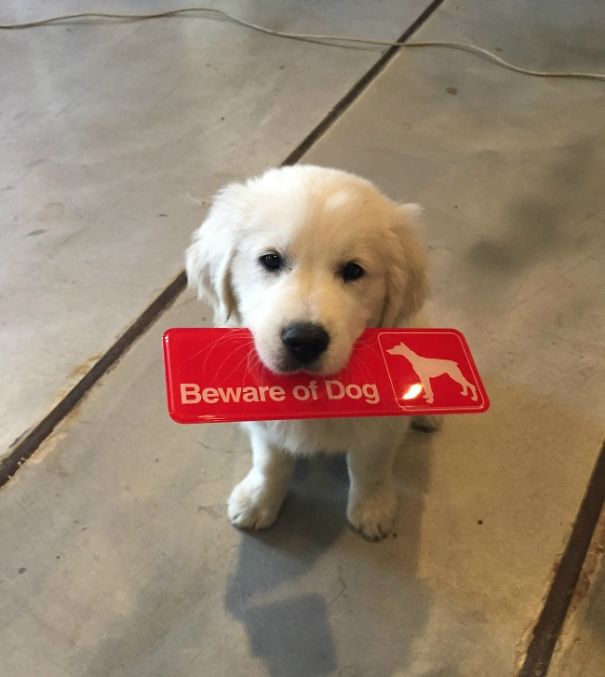 via: imgur.com