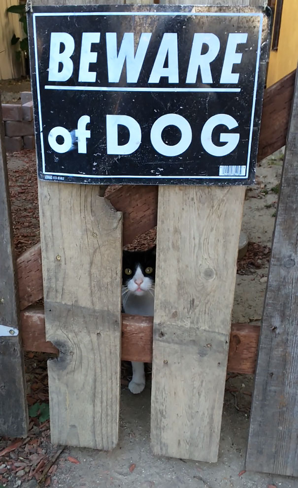via: imgur.com