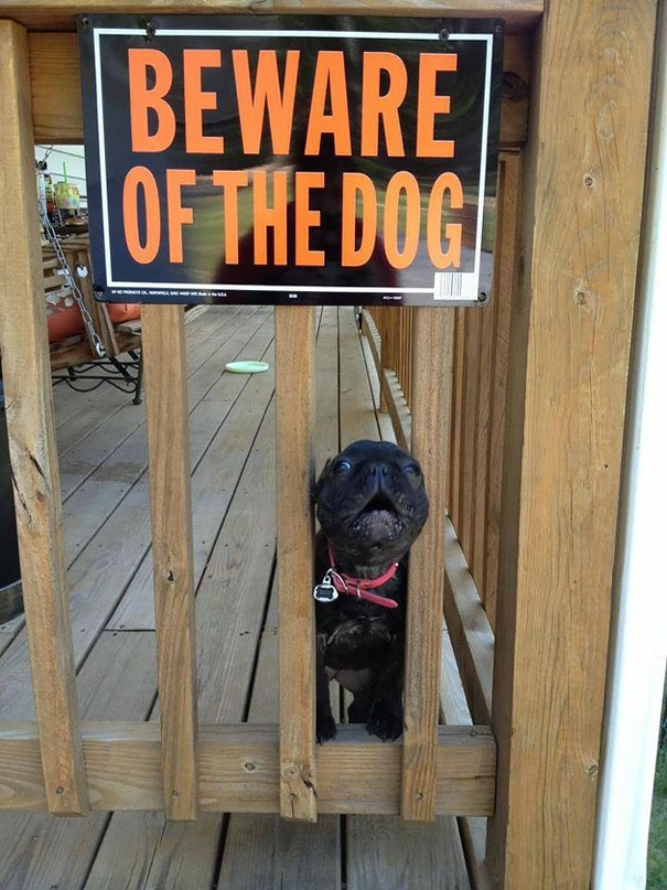 via: imgur.com