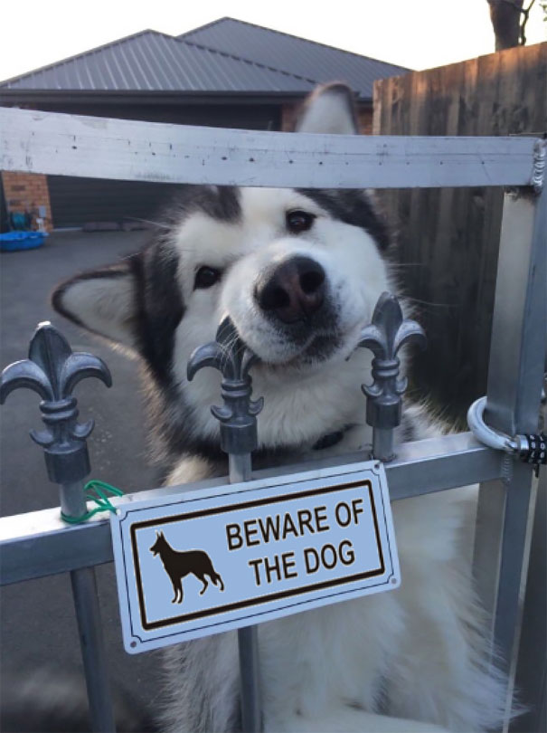 via: imgur.com