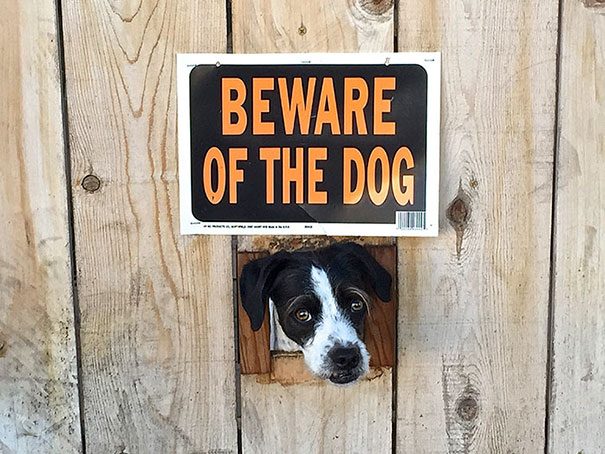 via: imgur.com