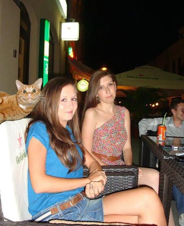 d9979a798feb816682d78ac71e32d29c