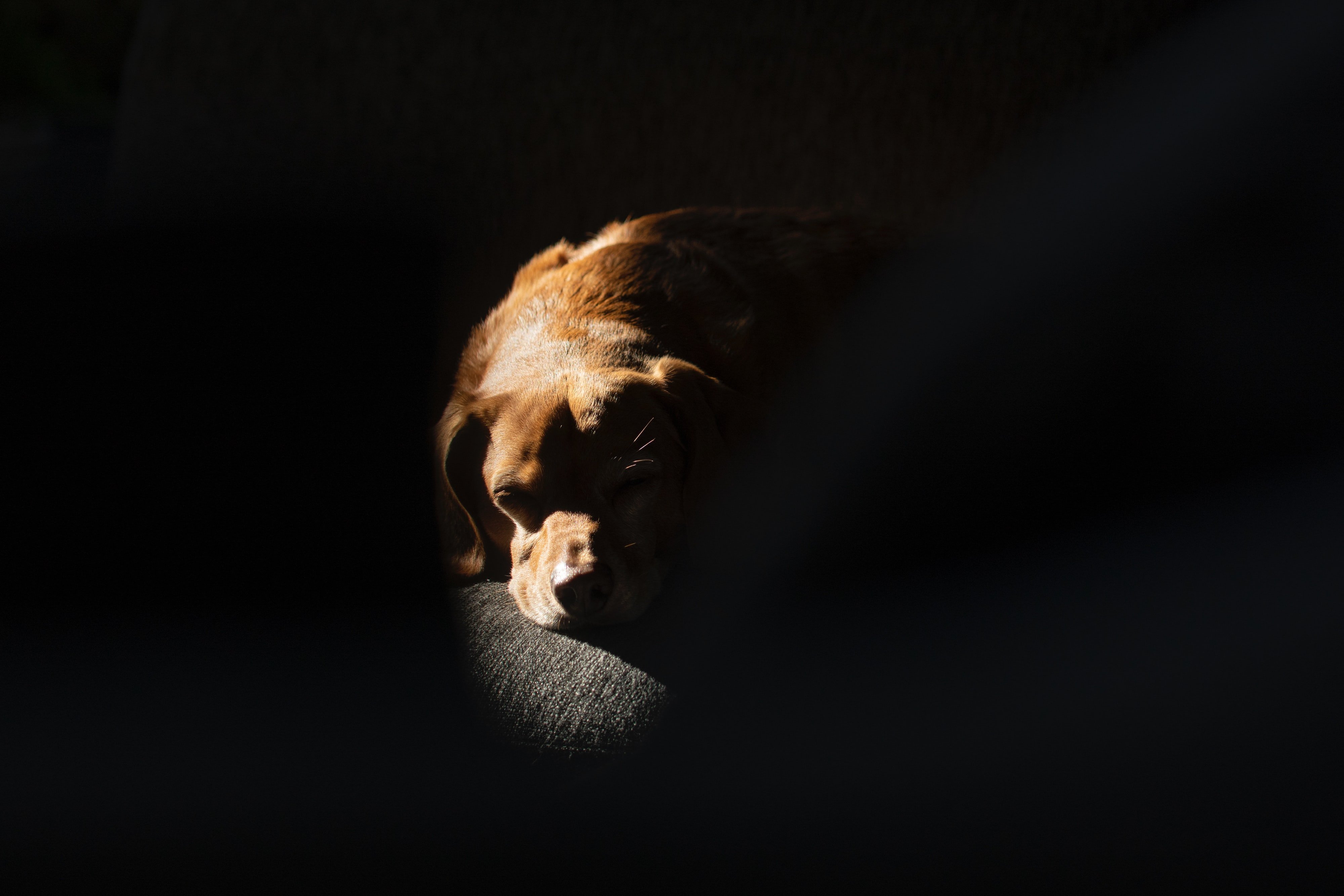 Само за илюстрация | Източник: Unsplash