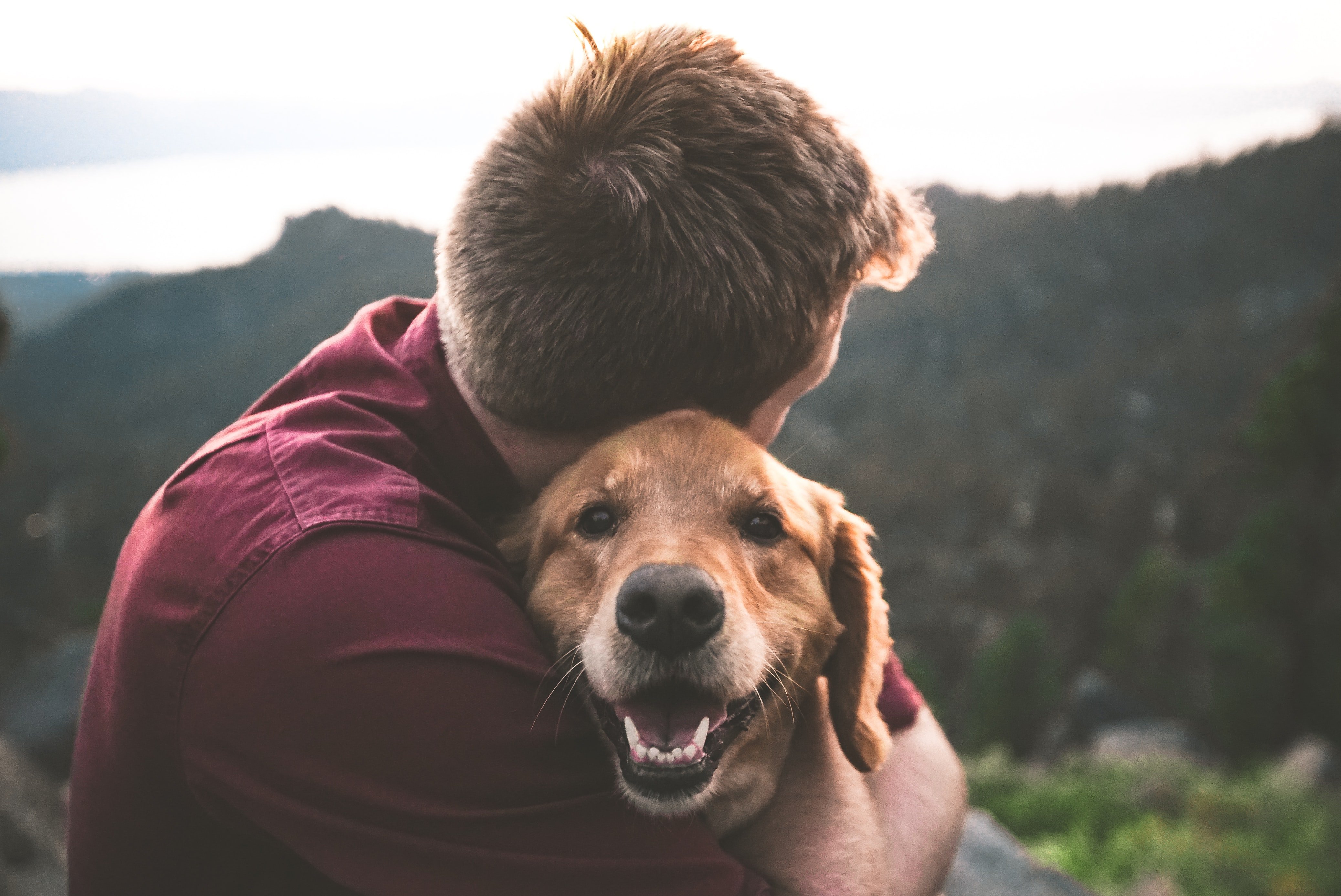 Само за илюстрация | Източник: Unsplash