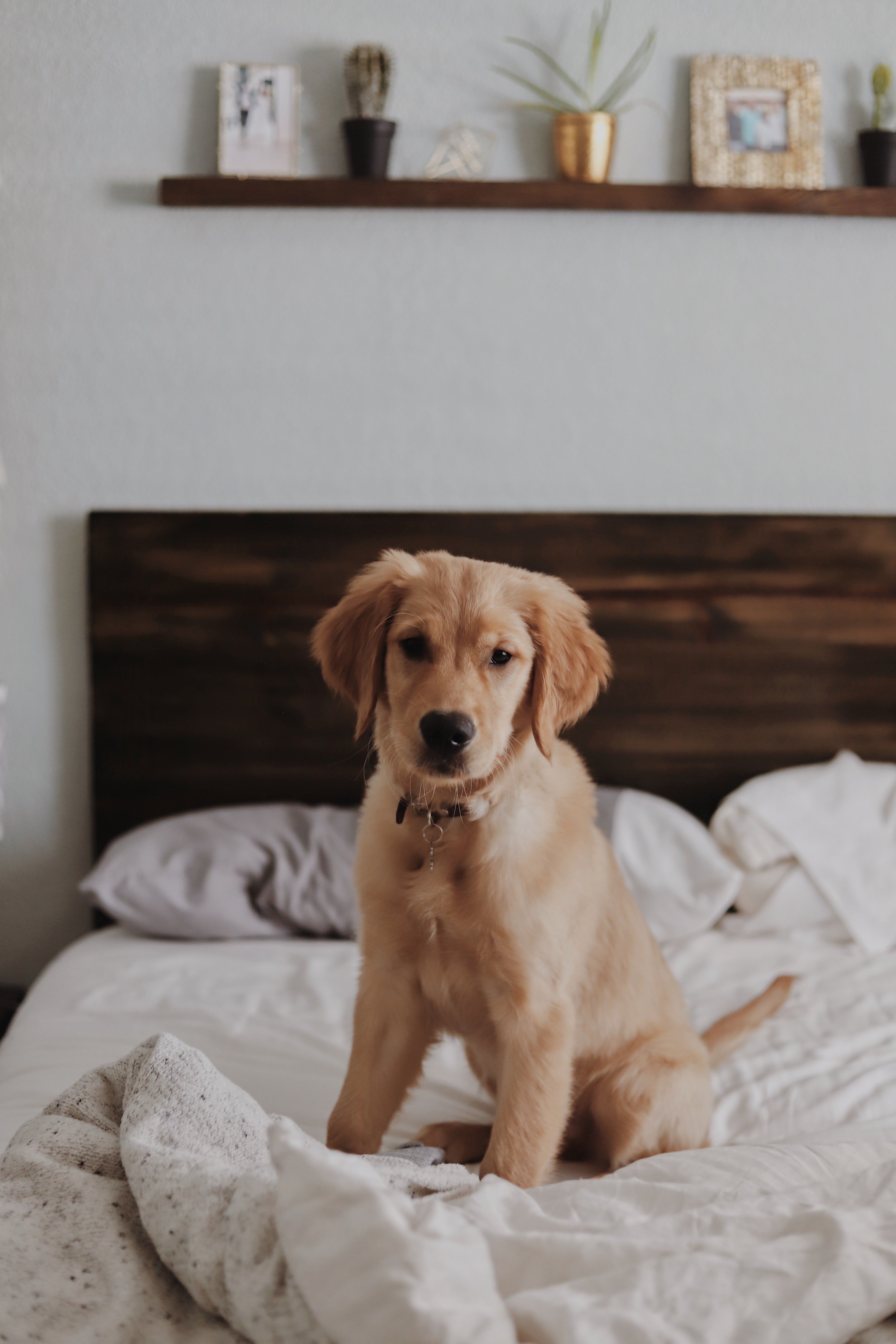 Само за илюстрация | Източник: Unsplash