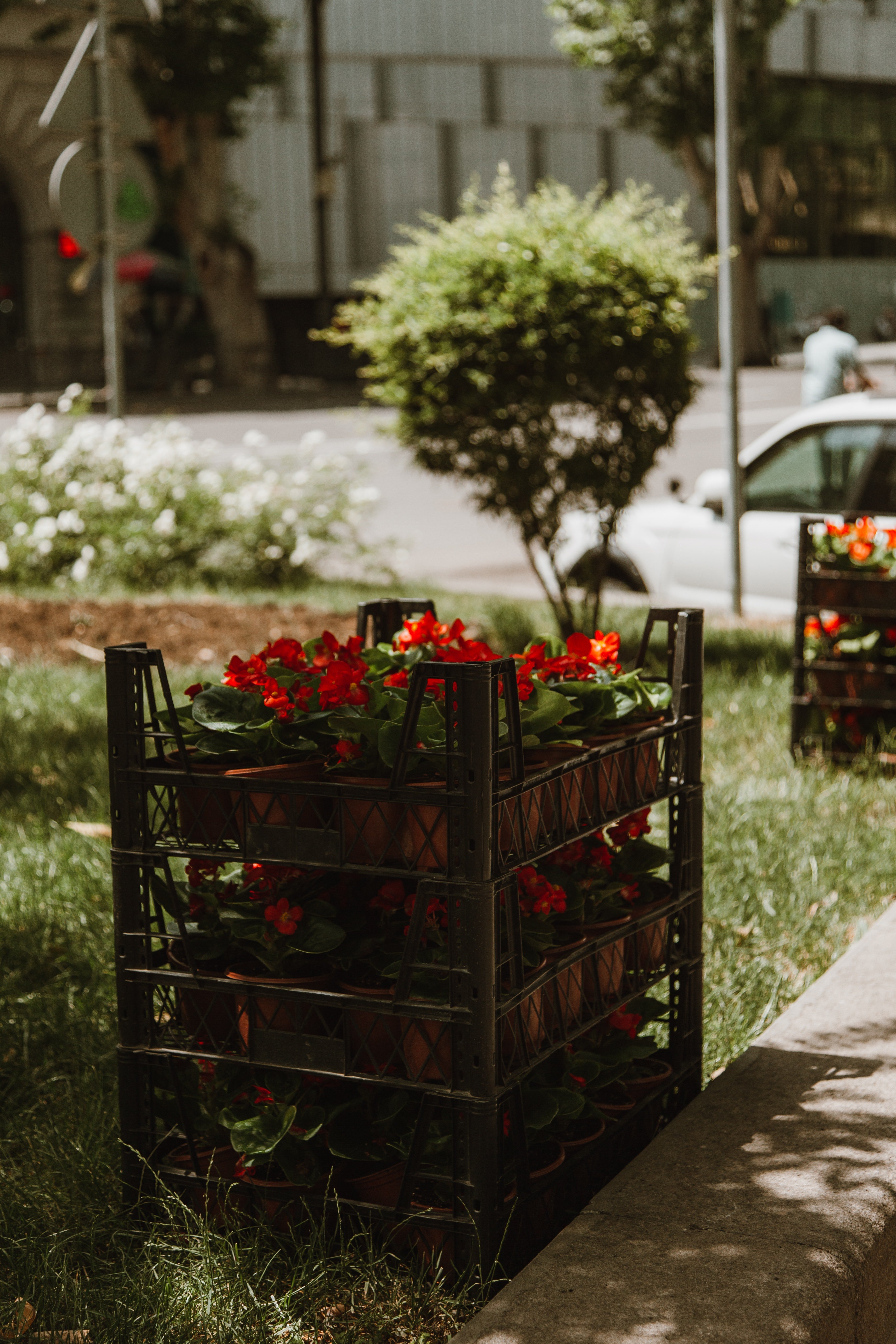 Само за илюстрация. | Източник: Pexels