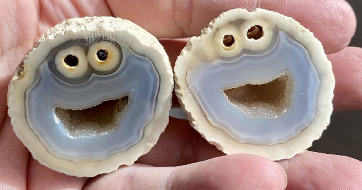 Amazing Rock Looks Just Like Cookie Monster When Cracked Open