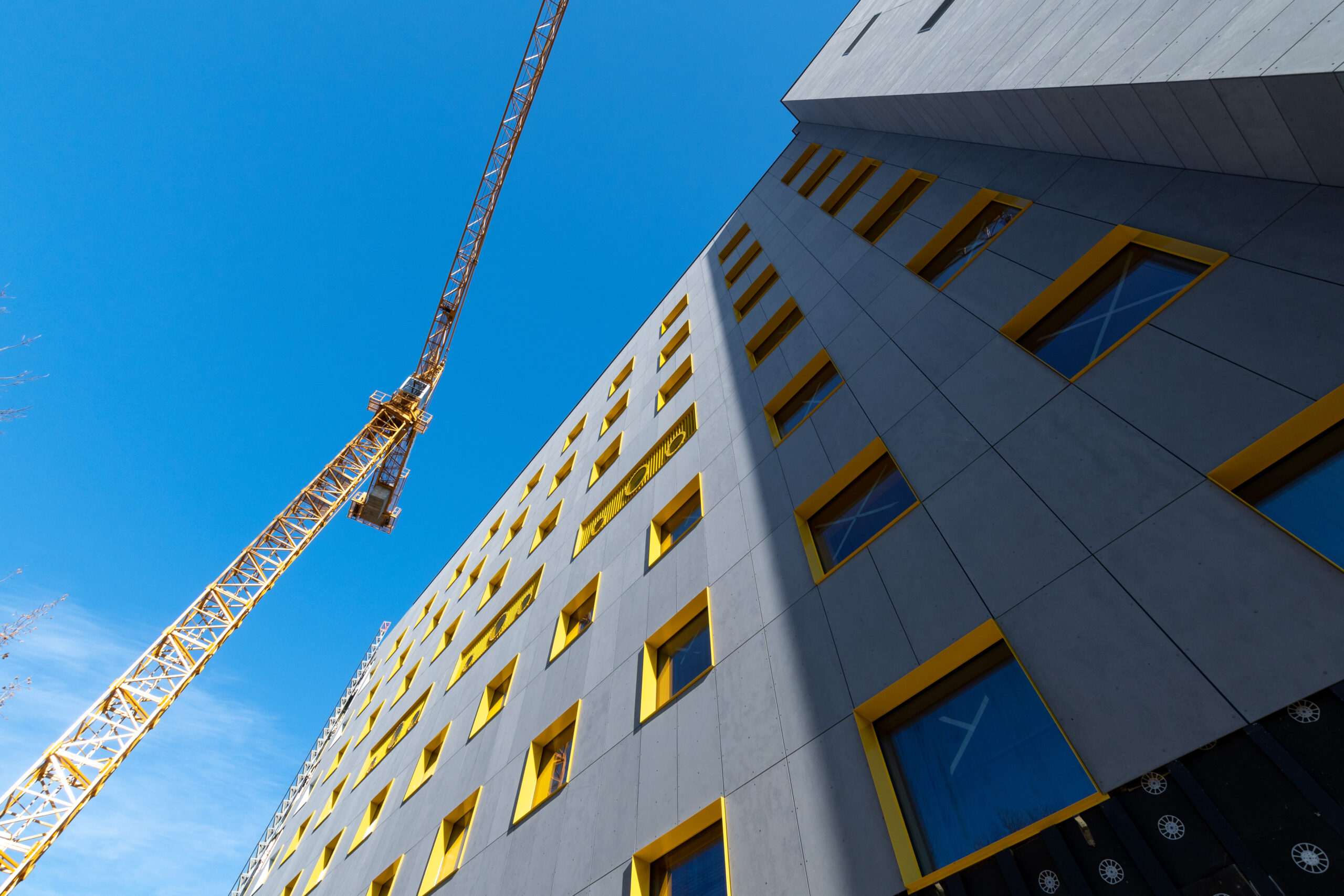 Raluca Șoaita, the architect who envisioned the future Children's Oncology Hospital currently built at Marie Curie - Tesseract Architects
