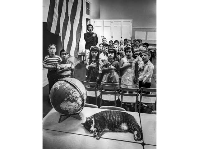 the great cat