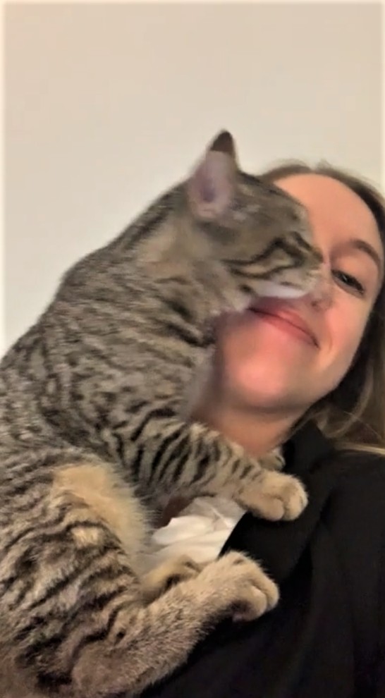 50-cats-who-don-t-know-the-meaning-of-personal-space-01-1
