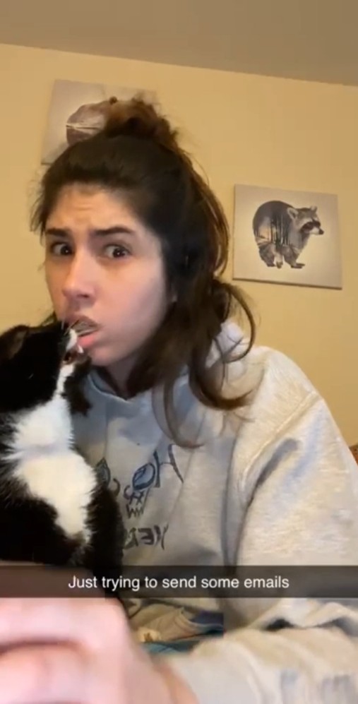 50-cats-who-don-t-know-the-meaning-of-personal-space-01-2